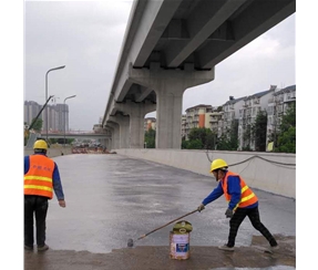 T9303無溶劑環氧防腐底漆